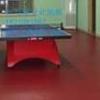 北京运动地胶厂家乒乓球PVC防滑抗老化地胶垫防火地板胶