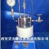 供应微型高压反应釜/加氢高压反应釜