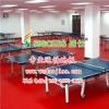 乒乓球地板pvc运动地板pvc塑胶运动地板