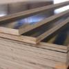 河北建筑模板厂家清水木模板价格