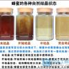 卢氏县马氏蜂业-有知名度的油菜蜜批发商：油菜花蜜代理加盟